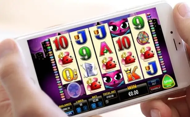 Image screenshot 5