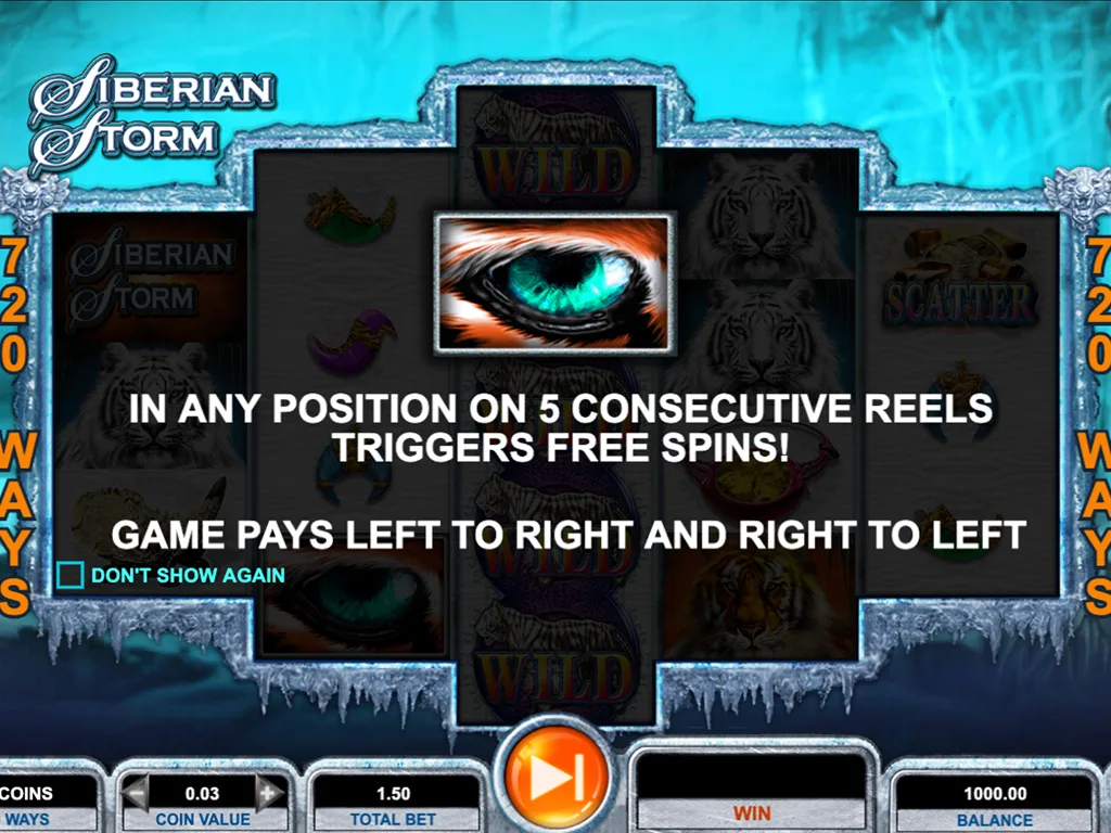 Siberian Storm screenshot 2