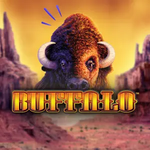 Buffalo