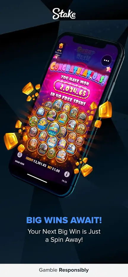 Stake Casino app image 3