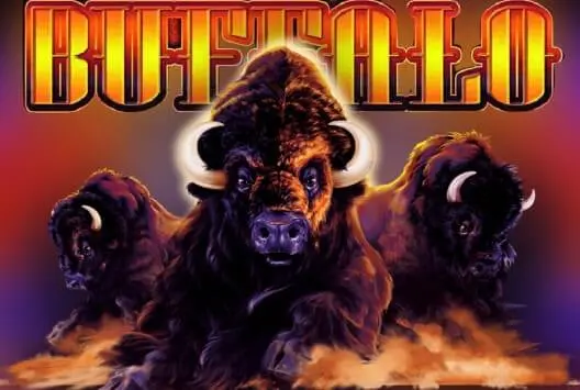 Buffalo screenshot 2