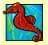 Seahorse