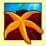 Starfish