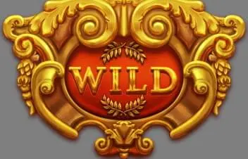 Wild Symbols