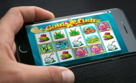 Gold Fish screenshot 6
