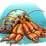 Hermit Crab