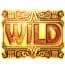 Wild Symbol